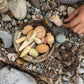 Wonders - 12 vakre figurer inspirert av naturen