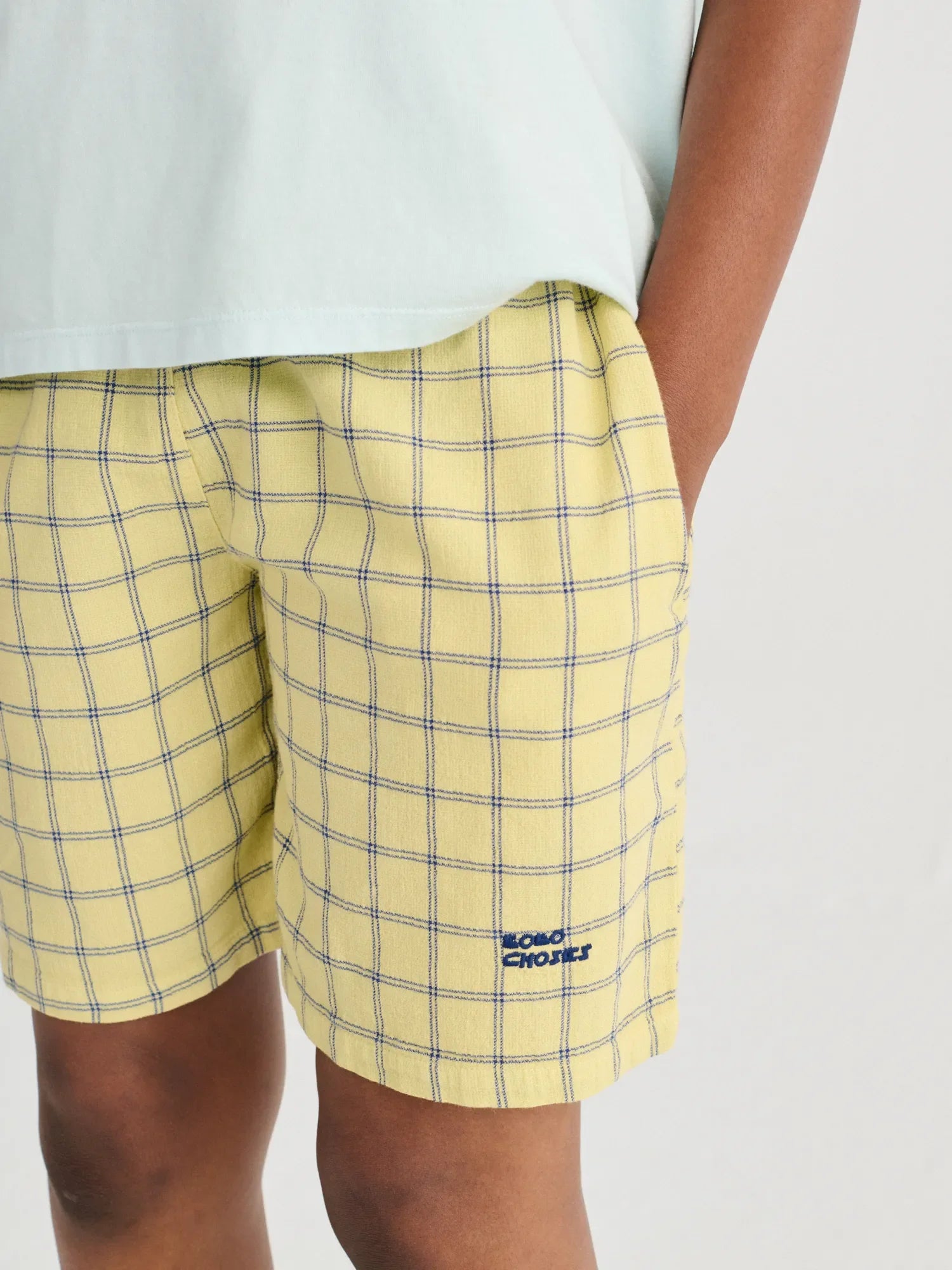 Shorts - Spicy Window Pane