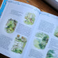 Petter Kanin og vennene hans - Beatrix Potter