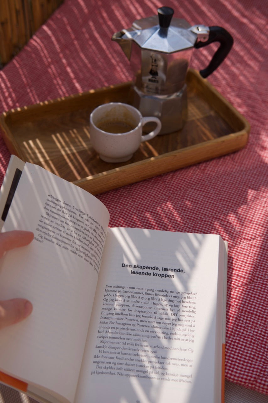 Skjerm barna - Maja Lunde