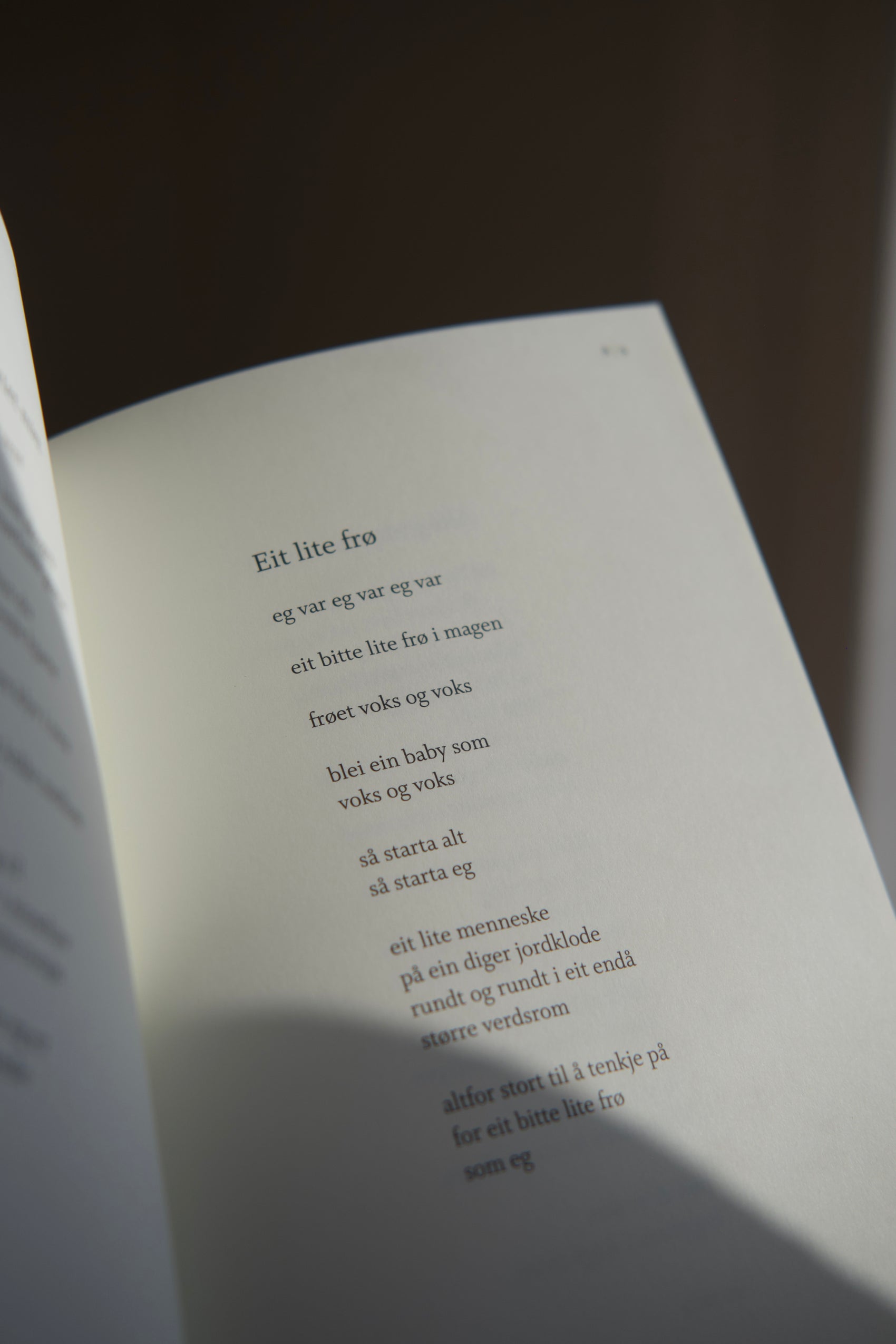 Eg er eg er eg er - dikt for barn - Ruth Lillegraven