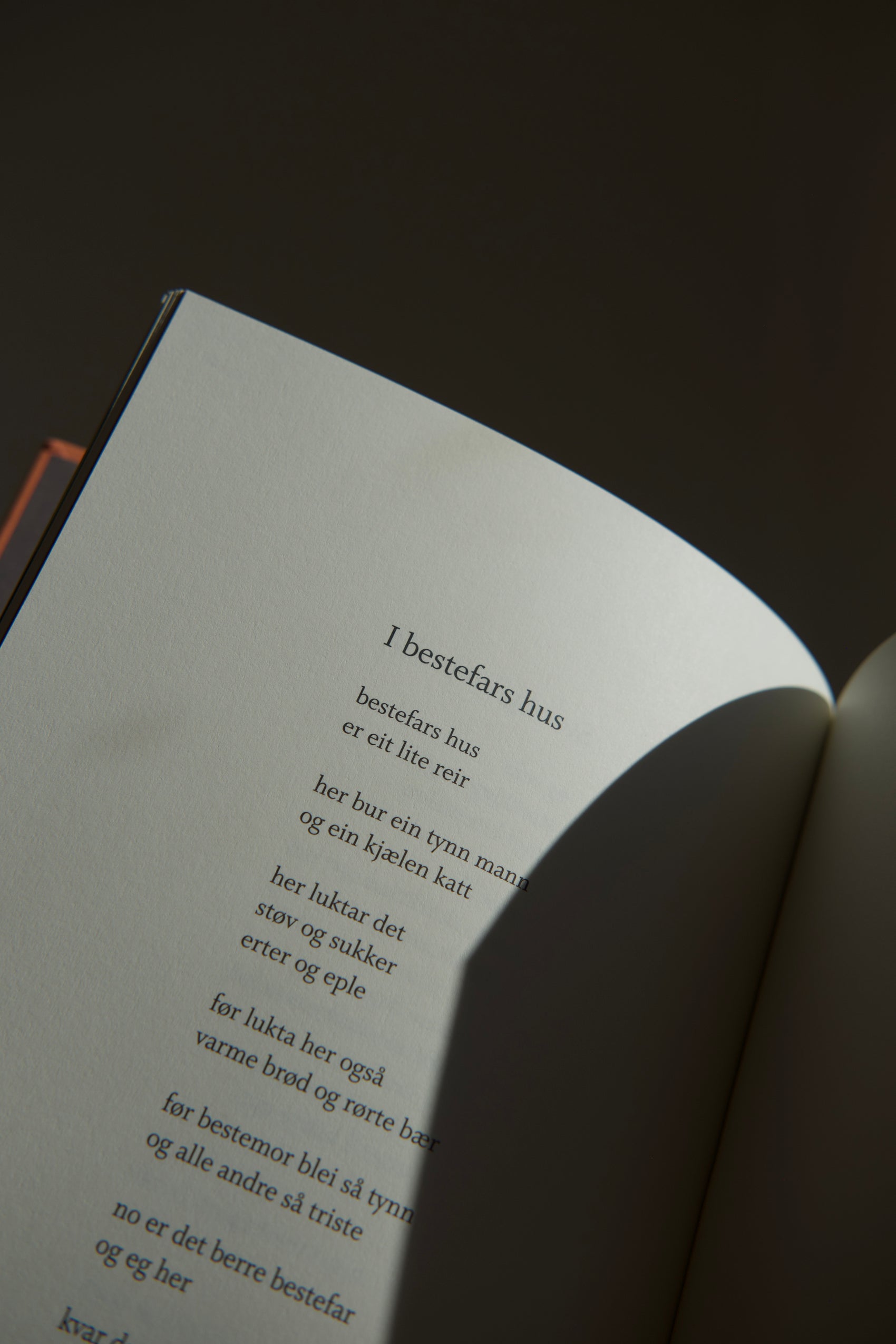 Eg er eg er eg er - dikt for barn - Ruth Lillegraven