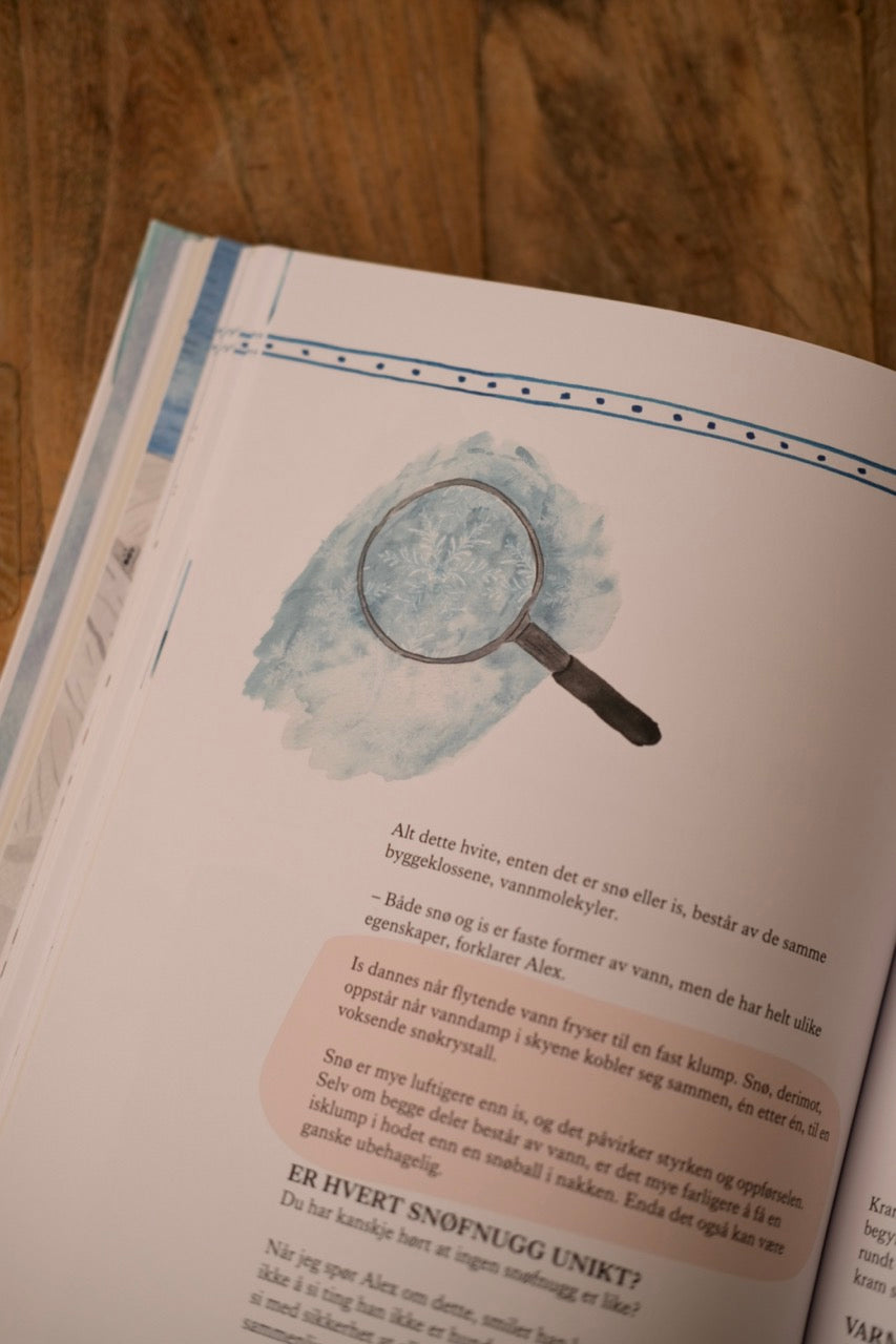 Arktiske mysterier - Maria Philippa Rossi & Sara Boccaccini Meadows