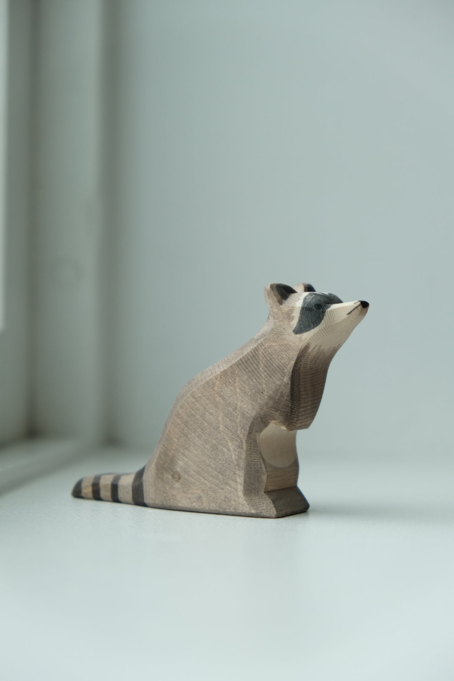 Raccoon sitting - trefigur