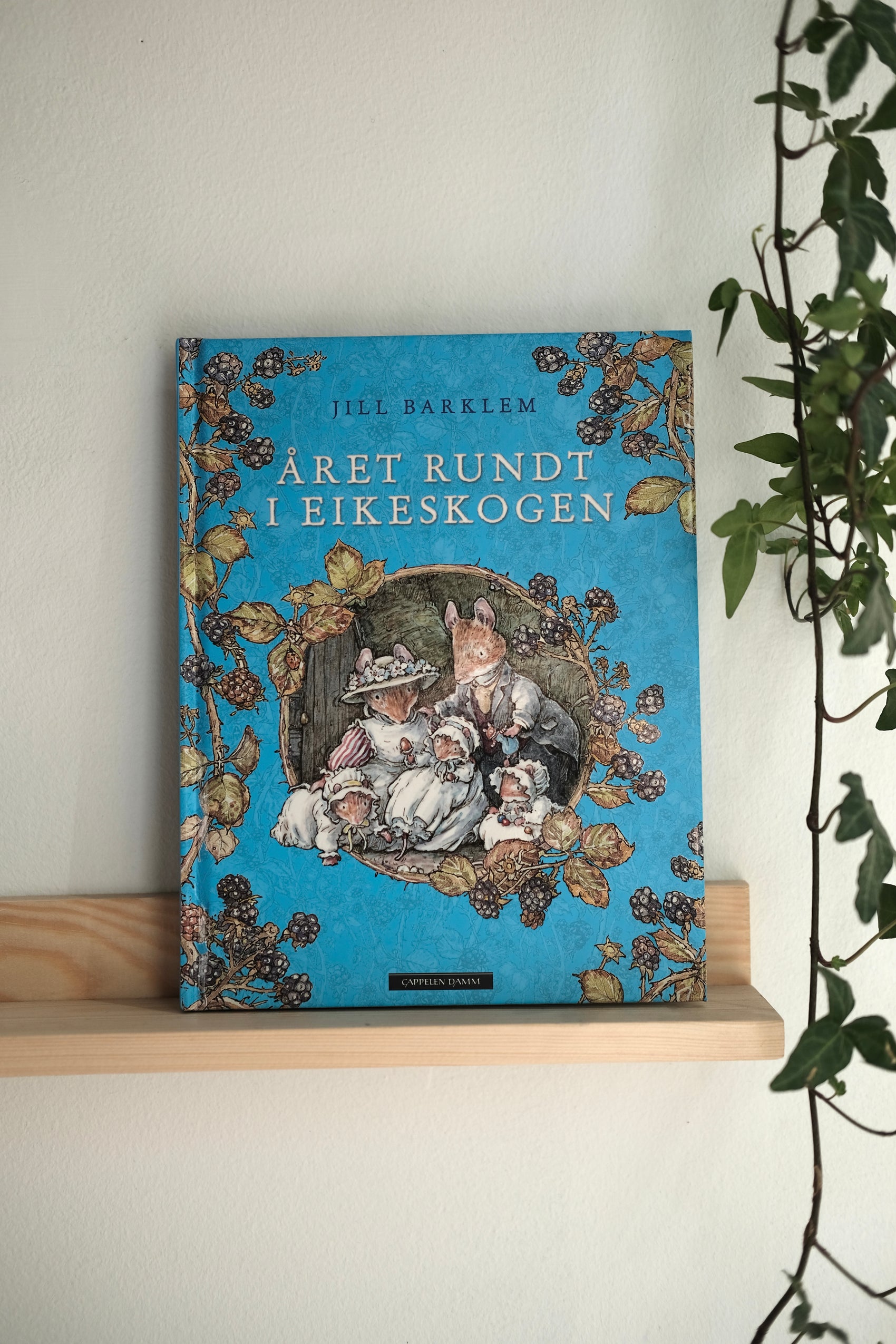 Året rundt i Eikeskogen - Jill Barklem