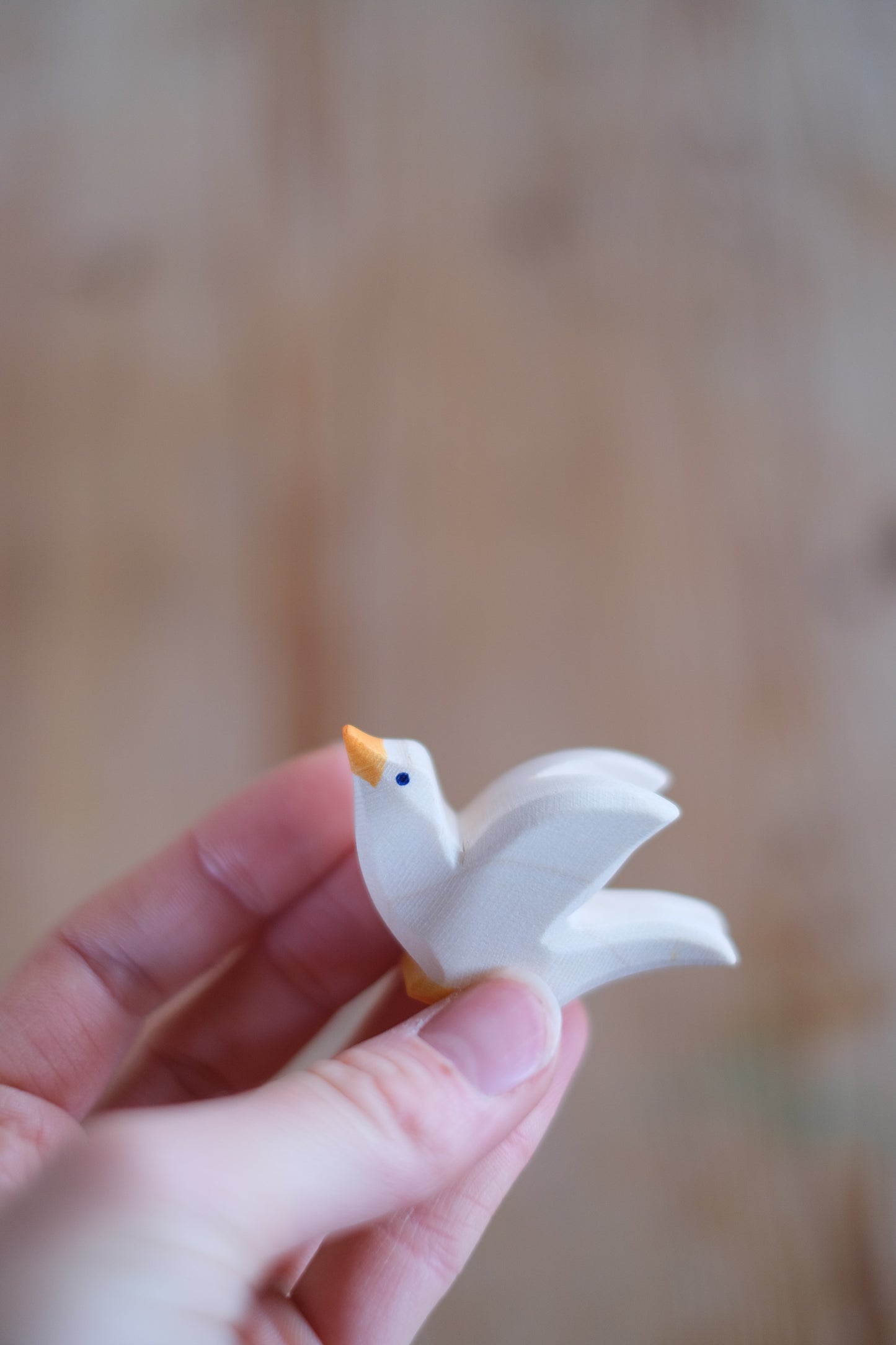 Pigeon flying - trefigur