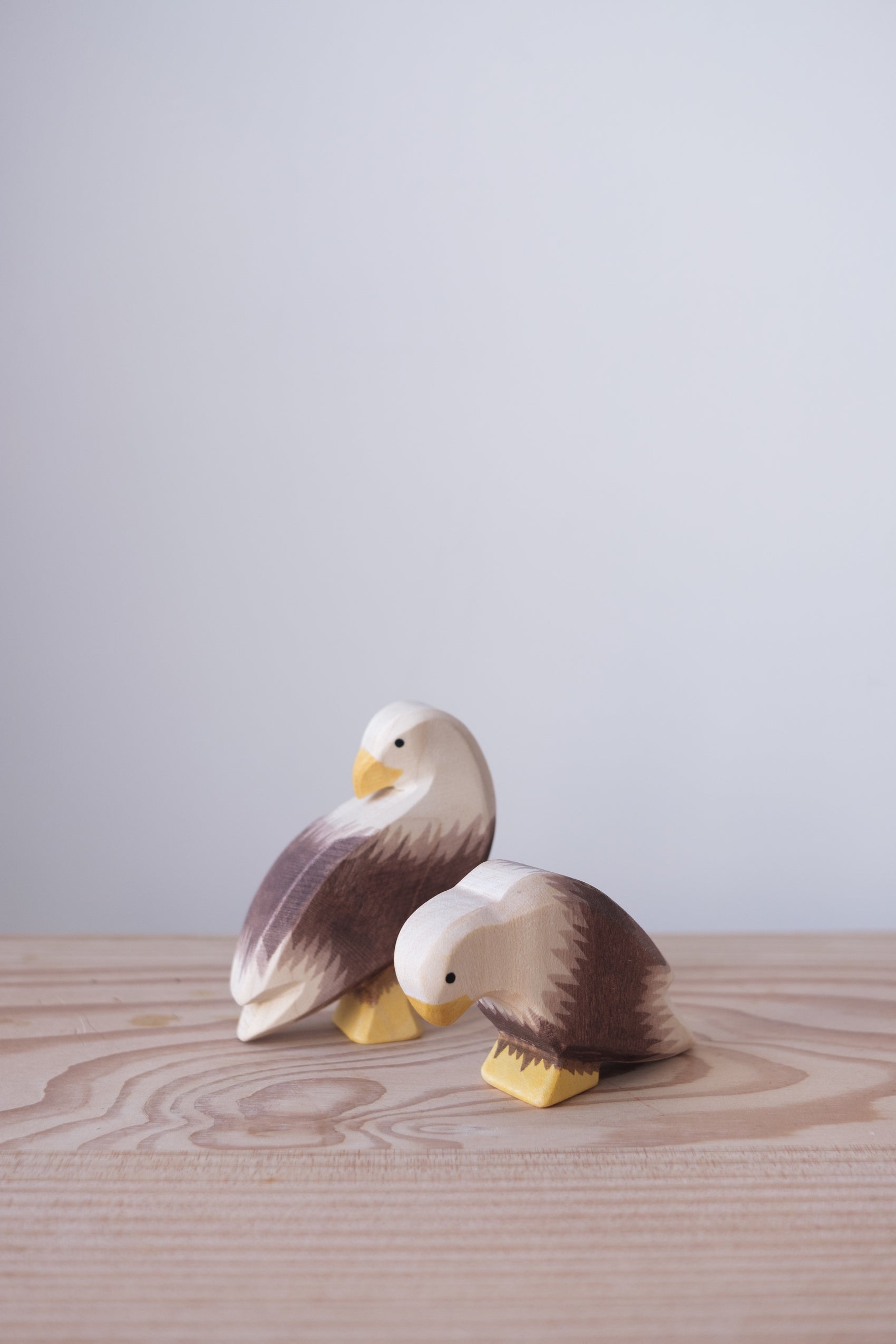 Bald eagle sitting - trefigur