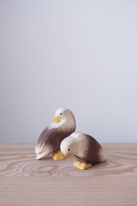 Bald eagle sitting - trefigur