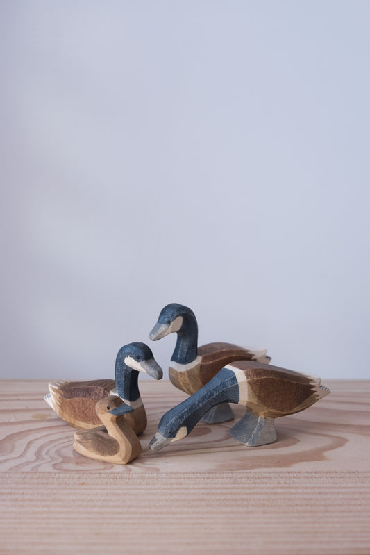 Canada goose small - trefigur