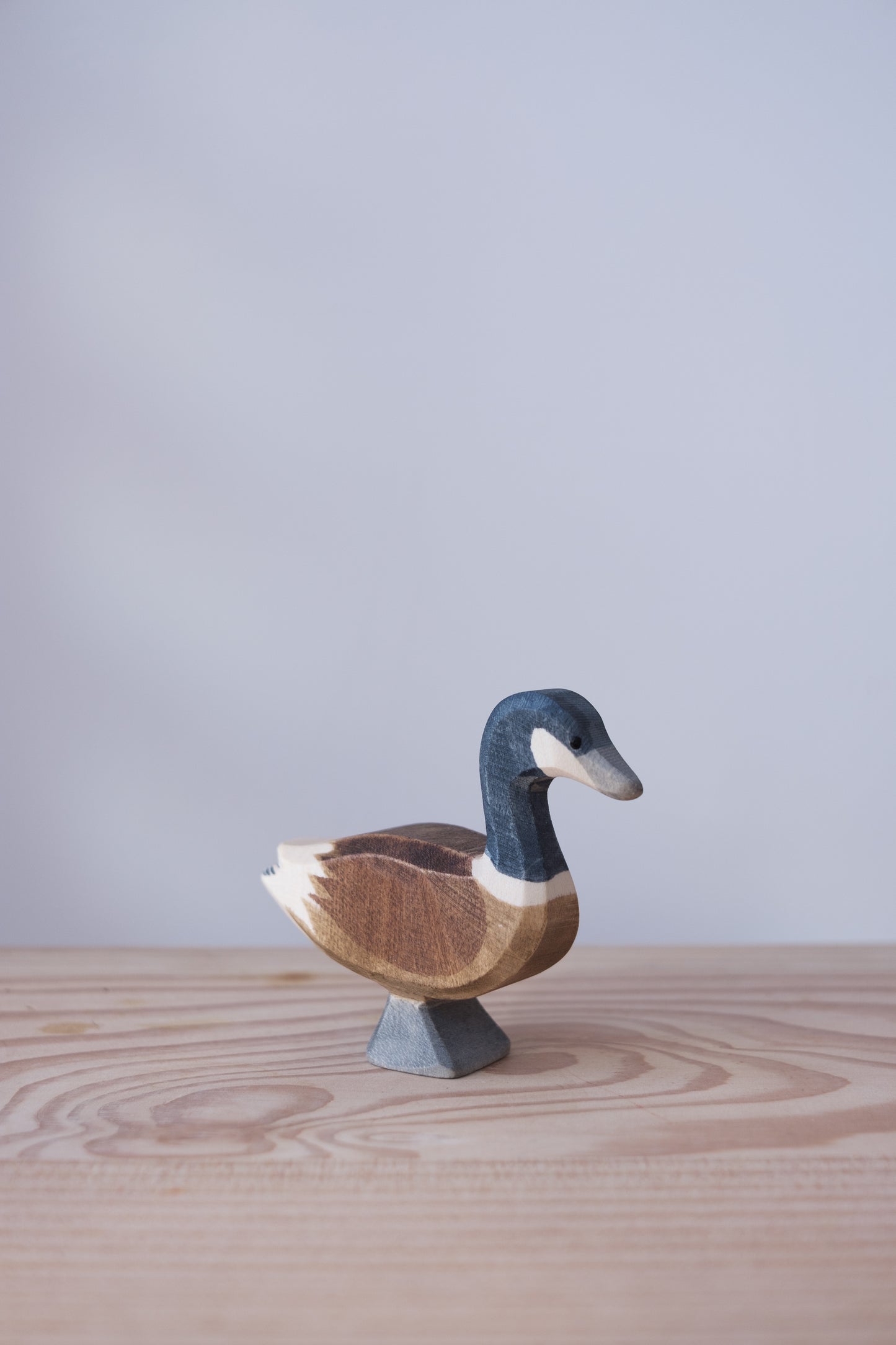 Canada goose standing - trefigur