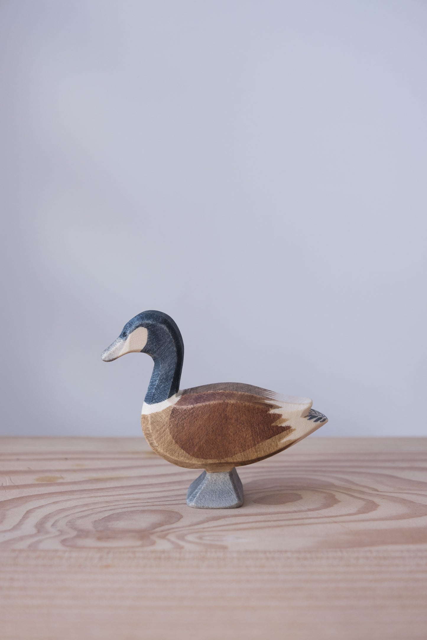 Canada goose standing - trefigur