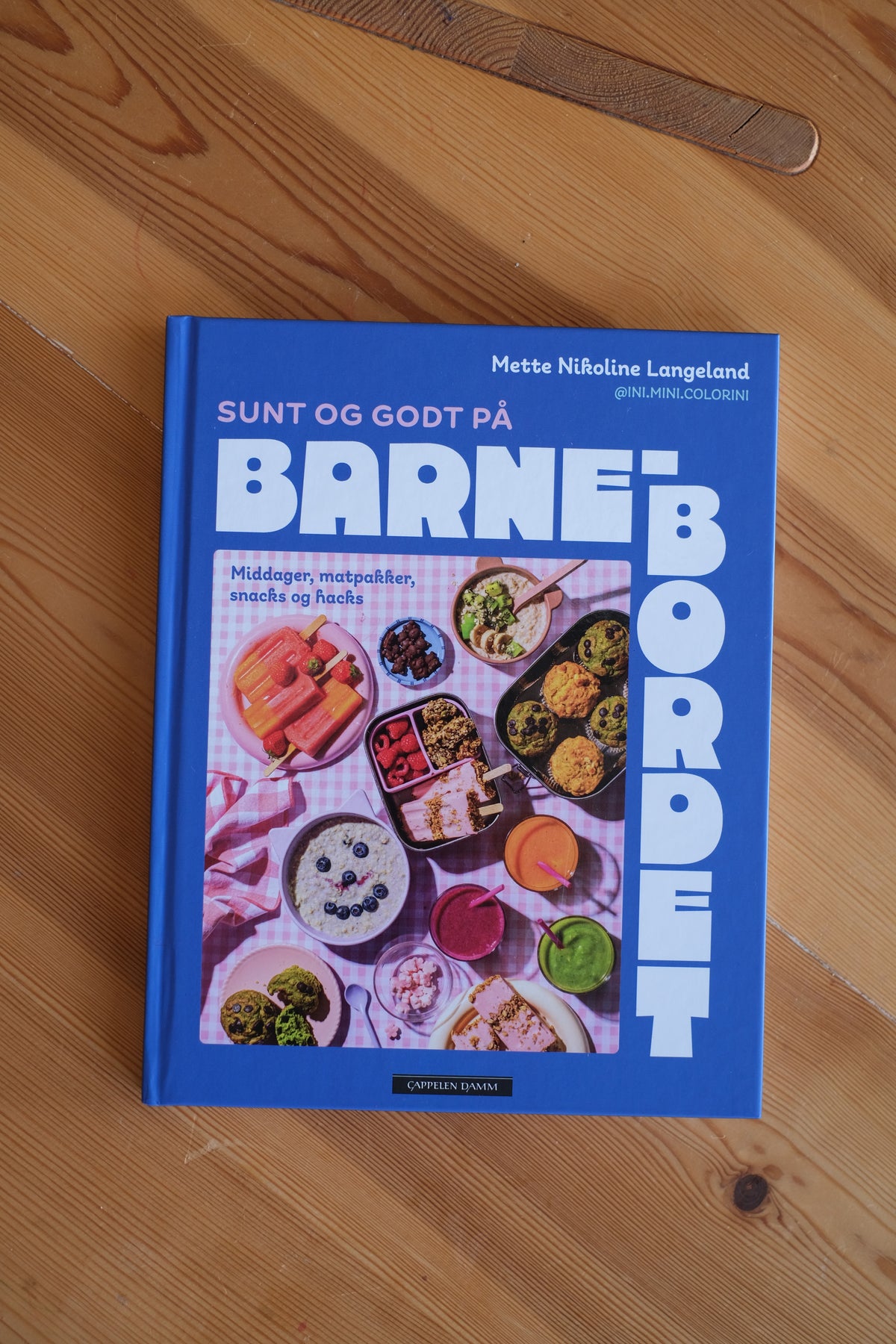Sunt og godt på barnebordet - middager, matpakker, snacks og hacks