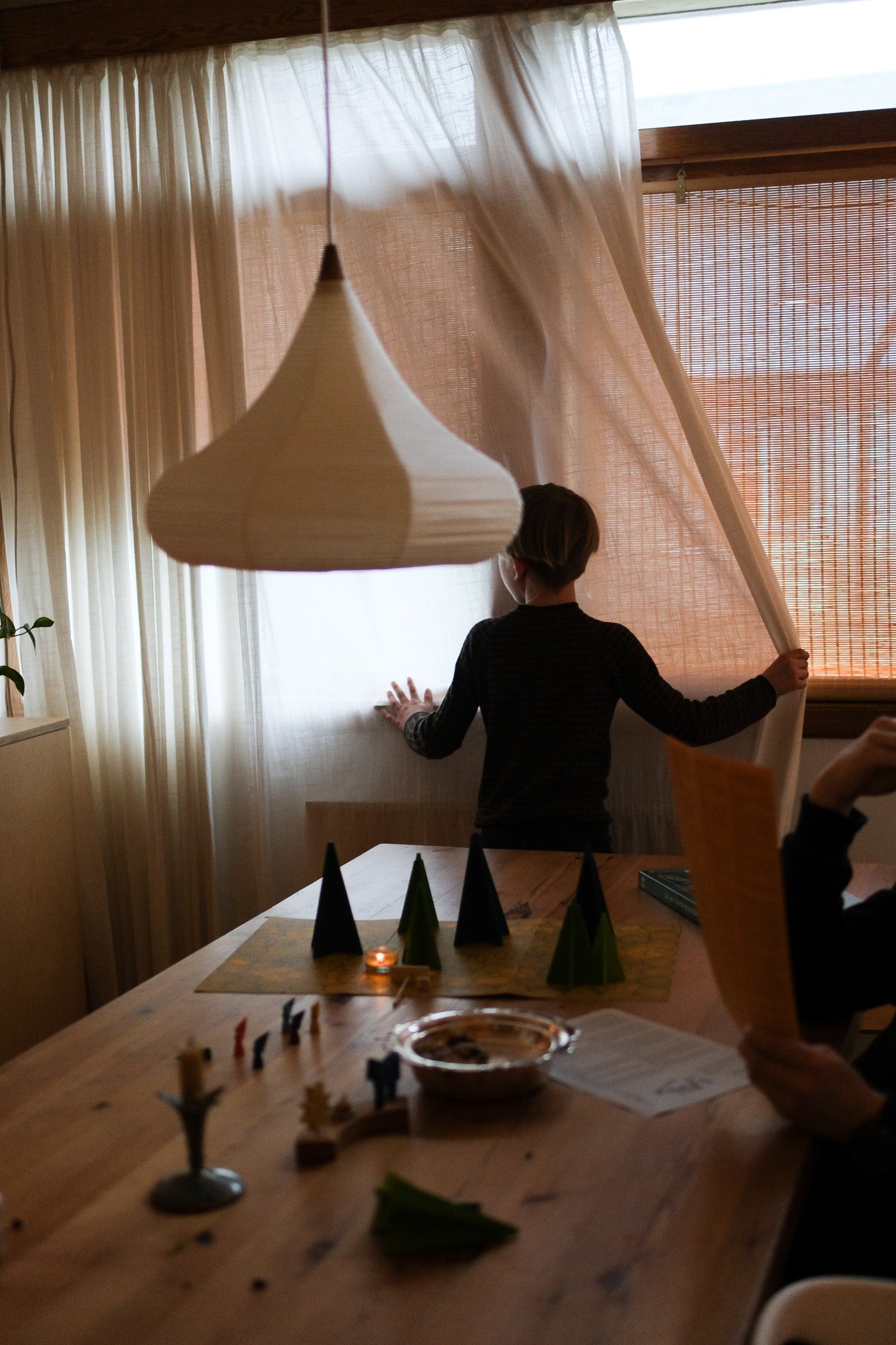 Skygger i skogen - spill