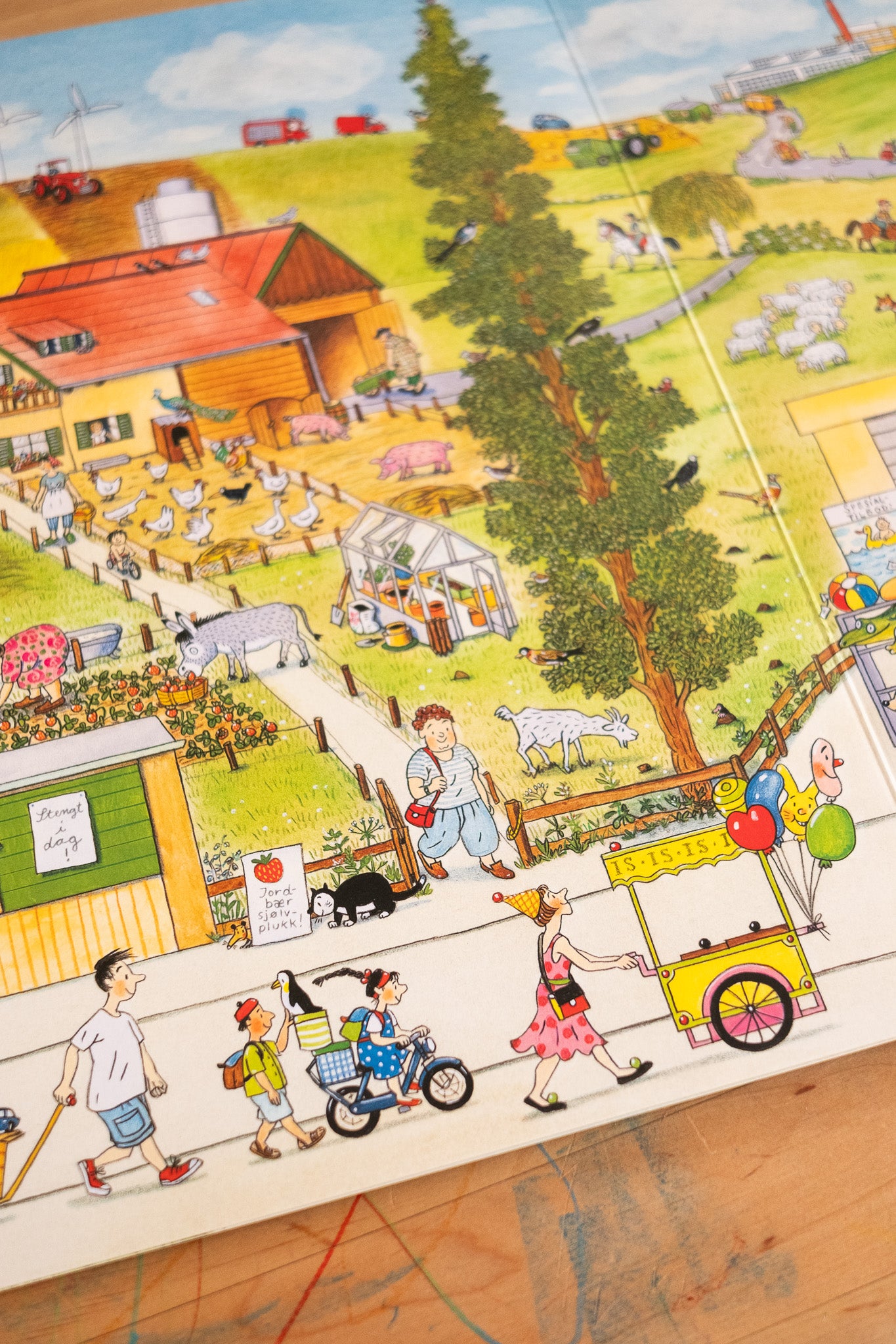 Sommar-vrimlebok - Rotraut Susanne Berner