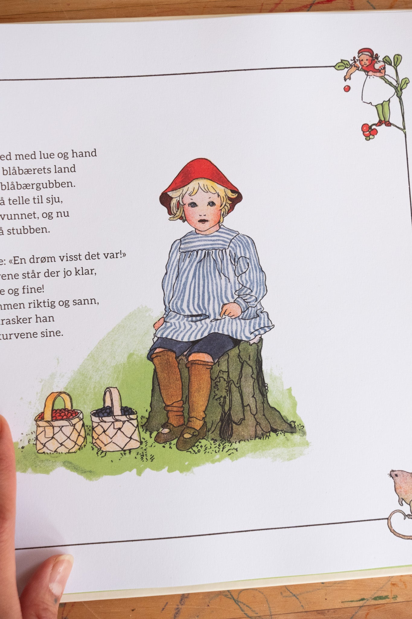 Puttes eventyr i blåbærskogen - Elsa Beskow