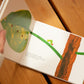 Den lille larven Aldrimett - Eric Carle