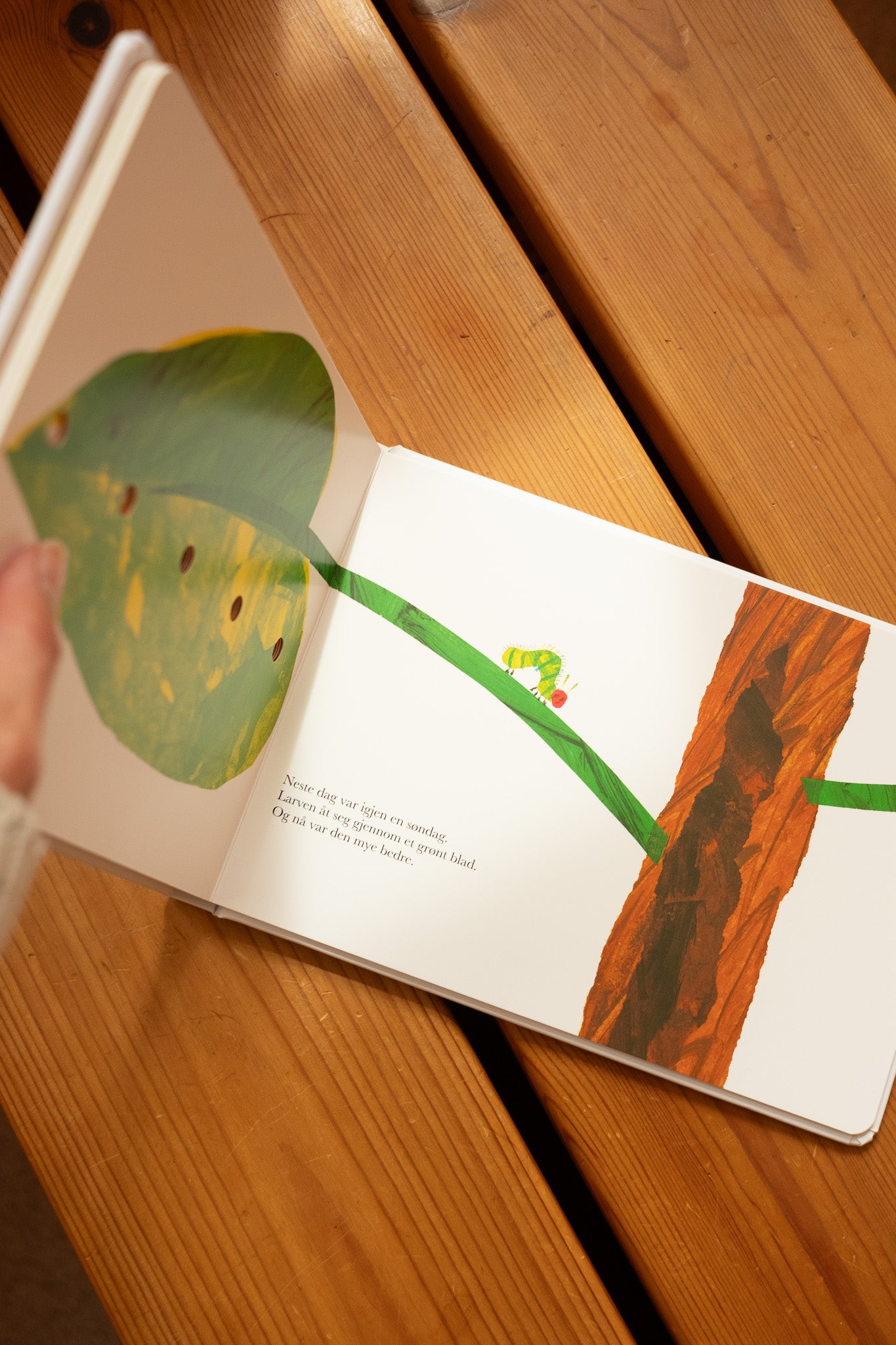 Den lille larven Aldrimett - Eric Carle