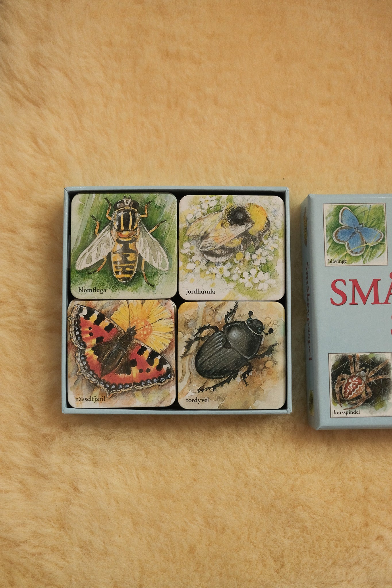 Småkryp memo - 40 biter