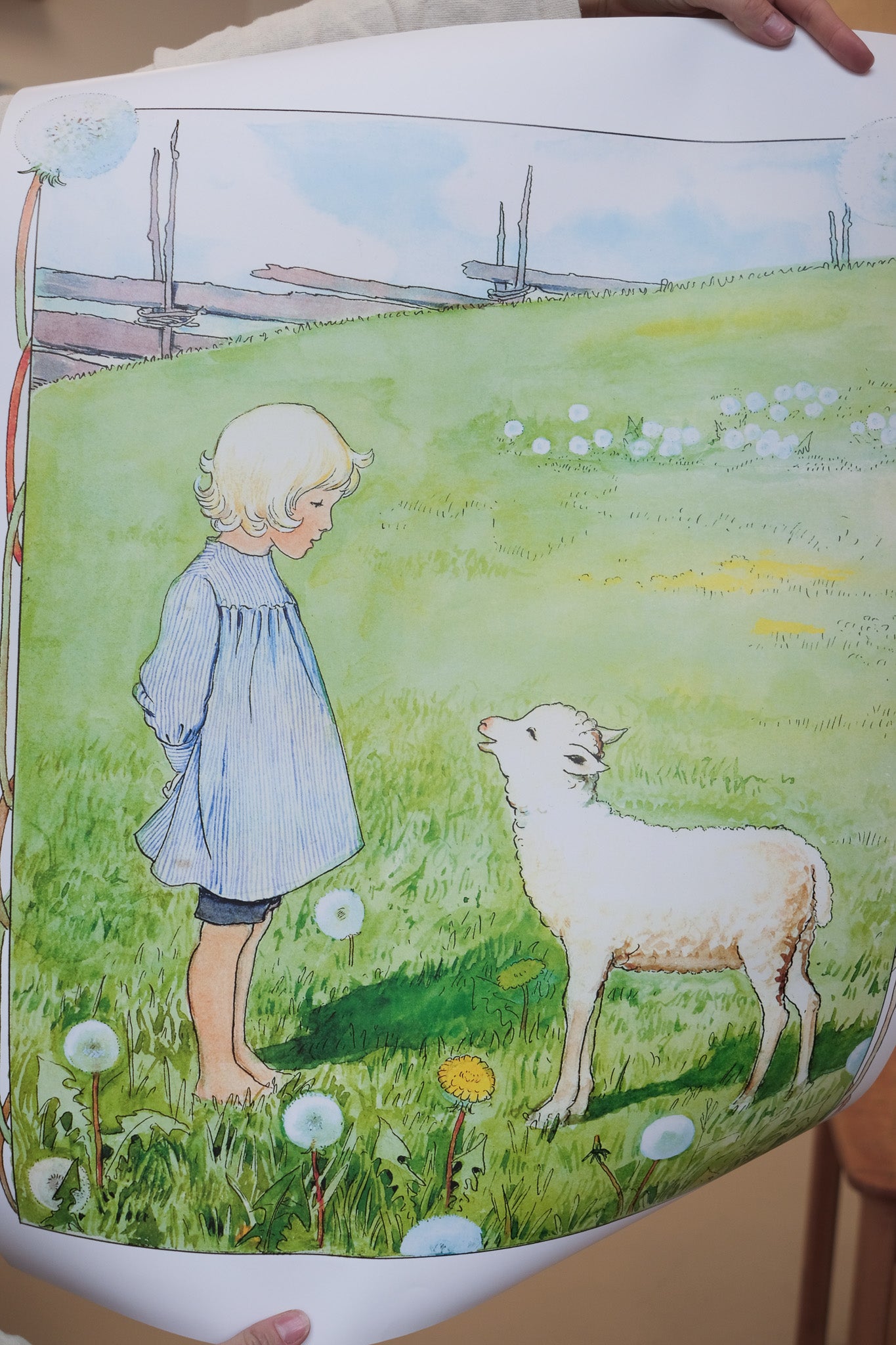 Bæ bæ lille lam - plakat - 50x70cm