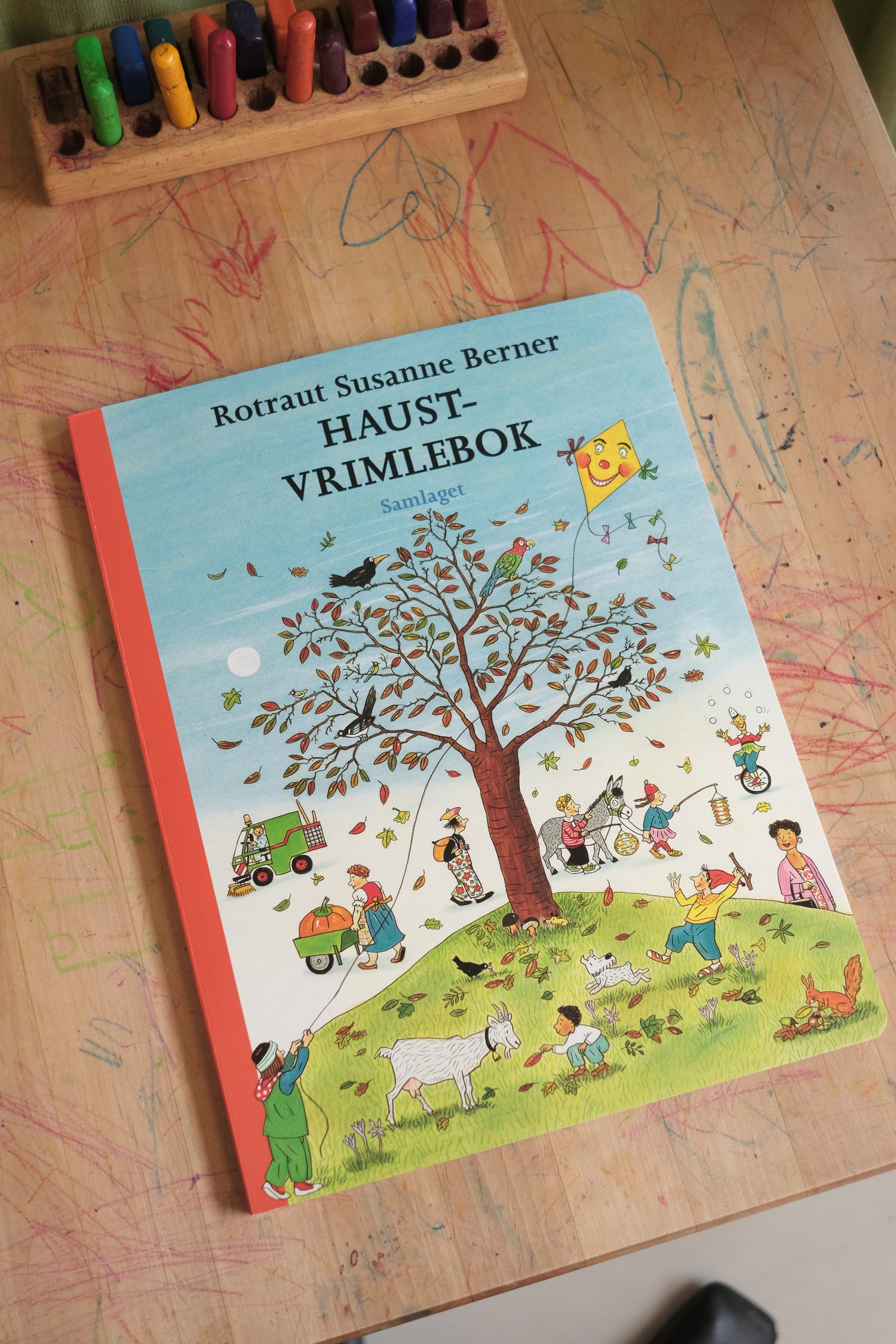 Haust-vrimlebok - Rotraut Susanne Berner