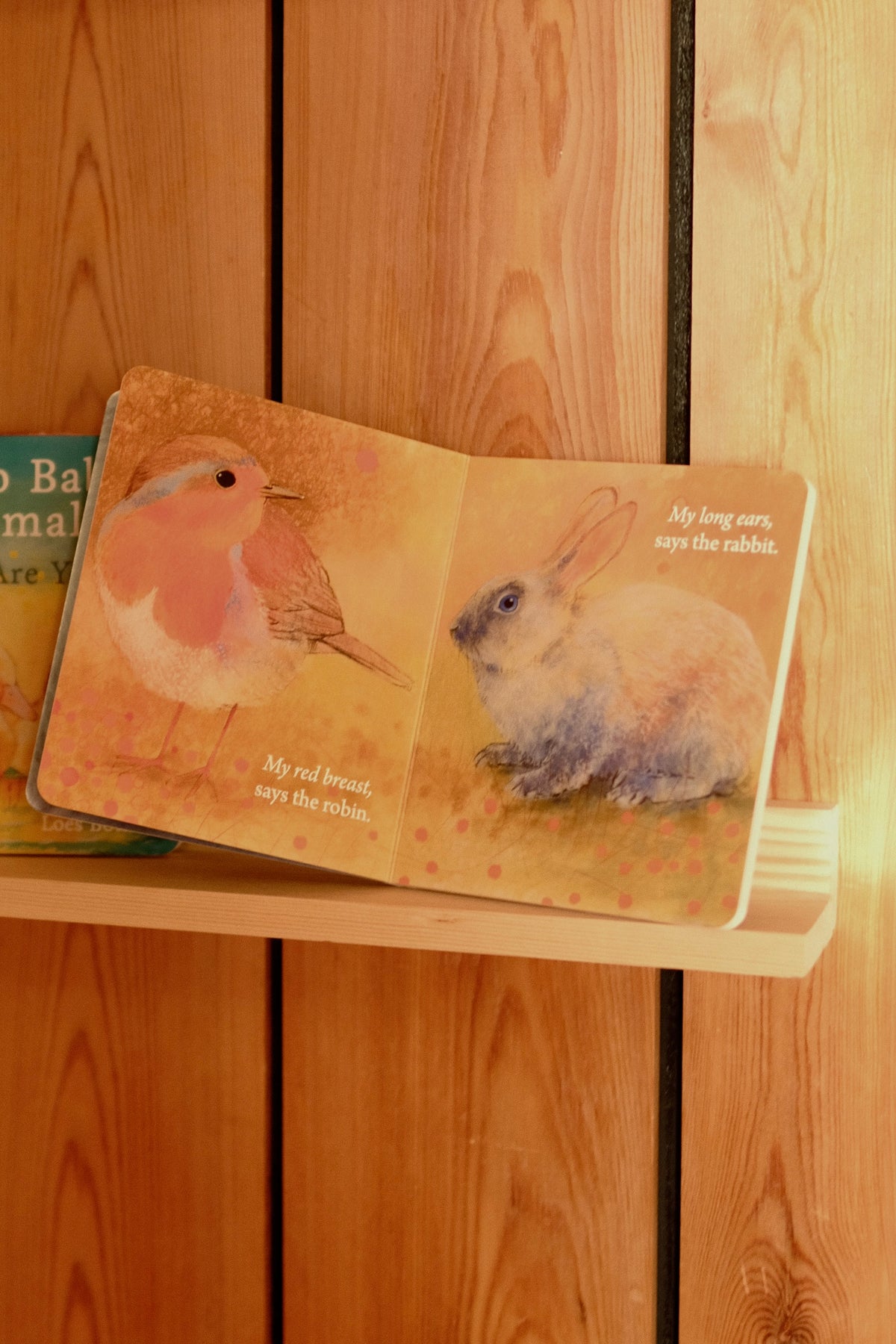 Hello Animals - Loes Botman - samlesett med 4 bøker