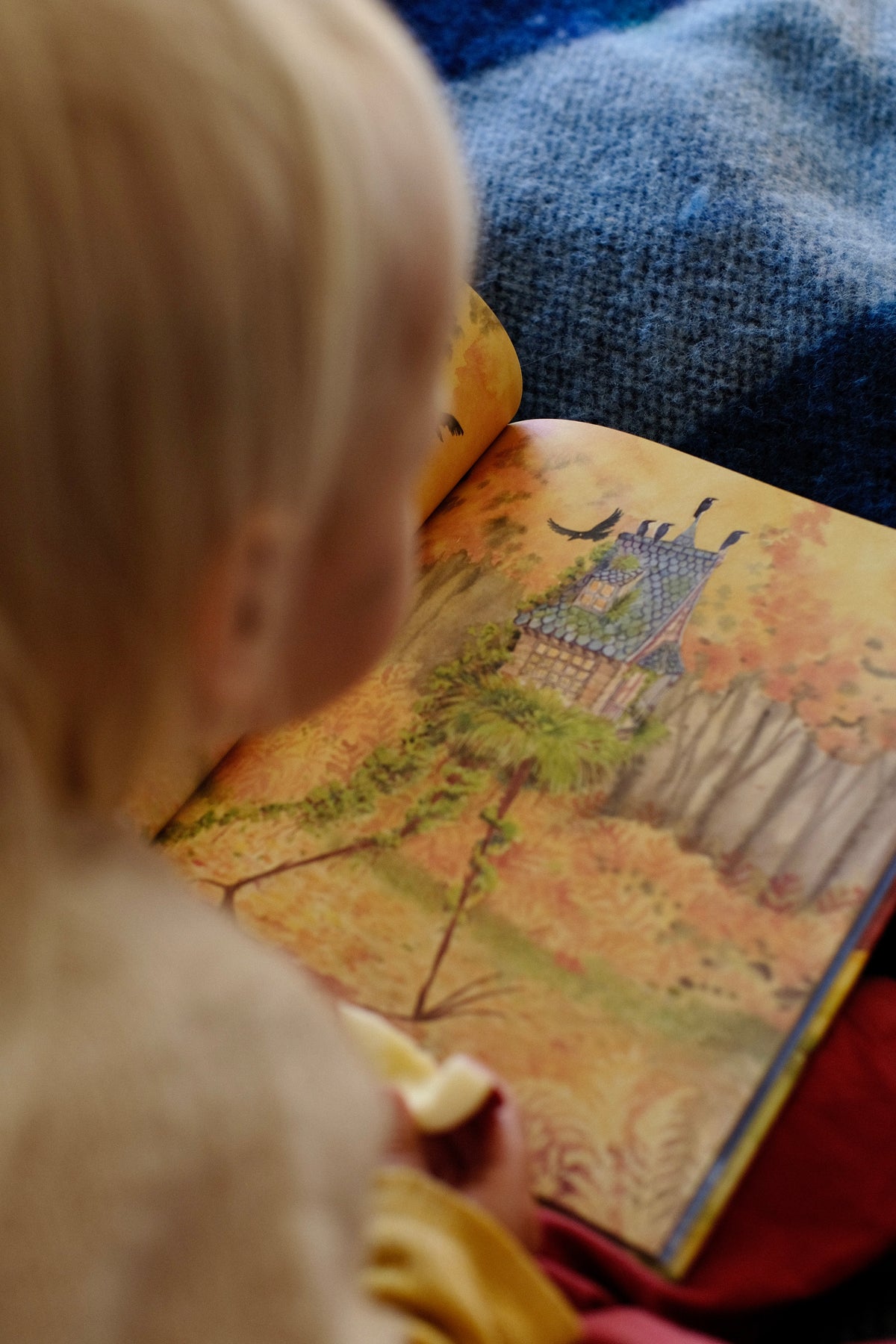 The Little House that Needed a Witch - Sophie Pluim