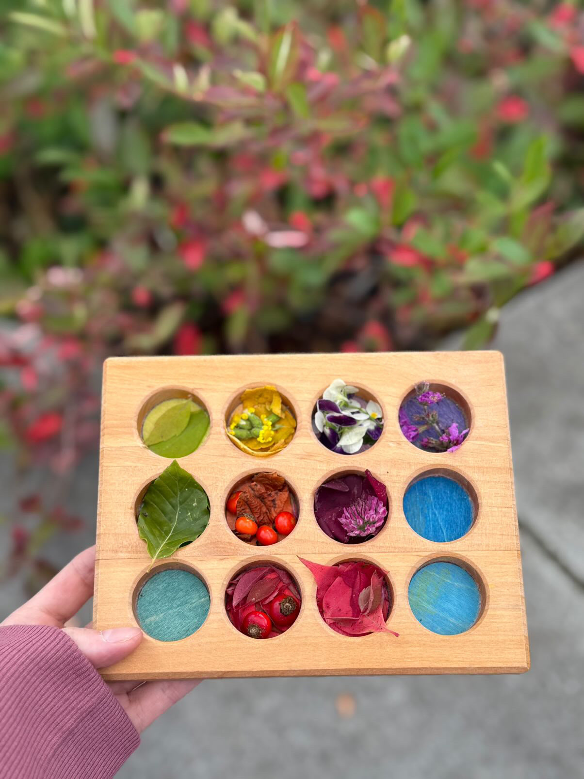 Sorteringsbrett - regnbuens farger