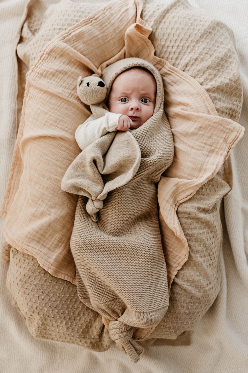Tokki teddy
