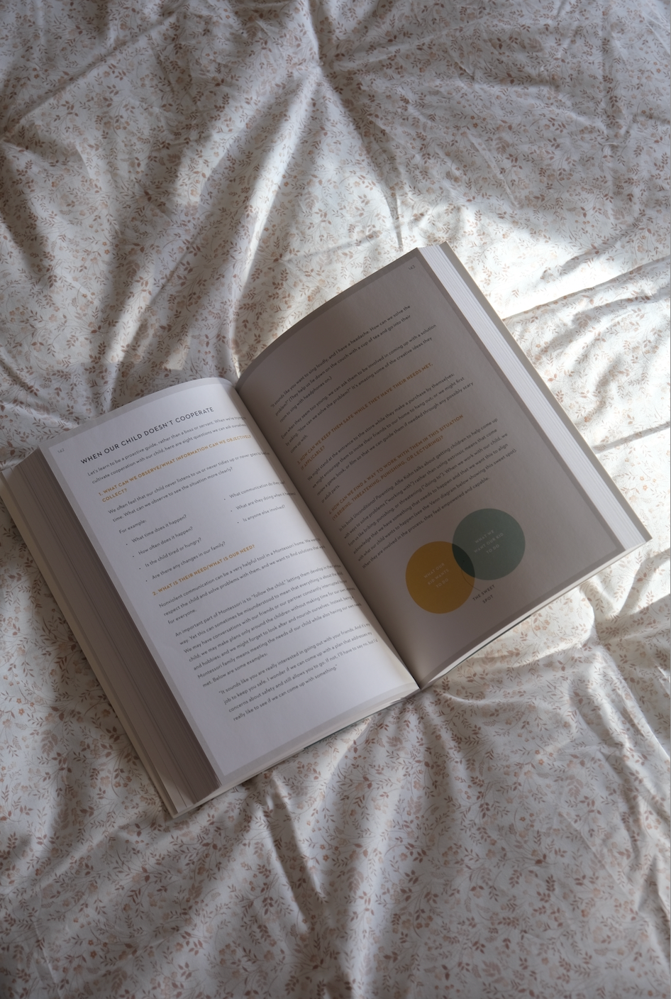 The Montessori Child - Simone Davies og Junnifa Uzodike