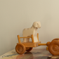 Sheep standing - trefigur