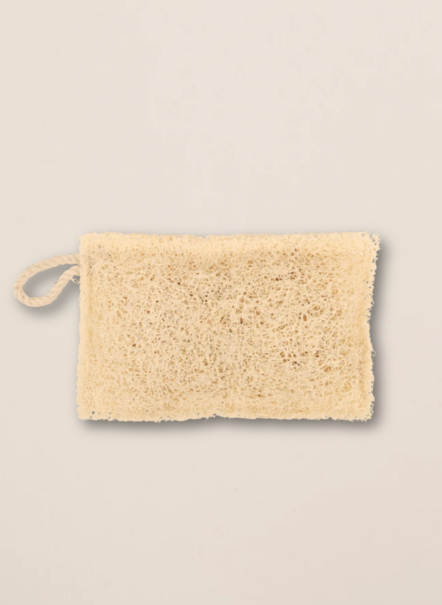 Oppvasksvamp av loofah