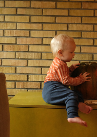 Bukse - høyt liv - ull/silke