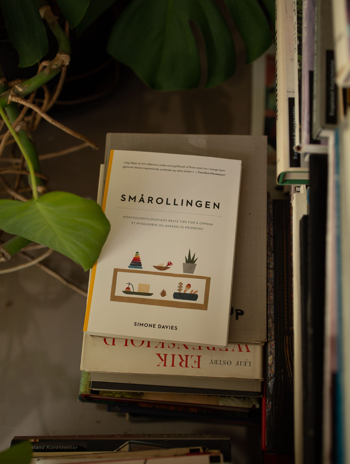 Smårollingen - Simone Davies