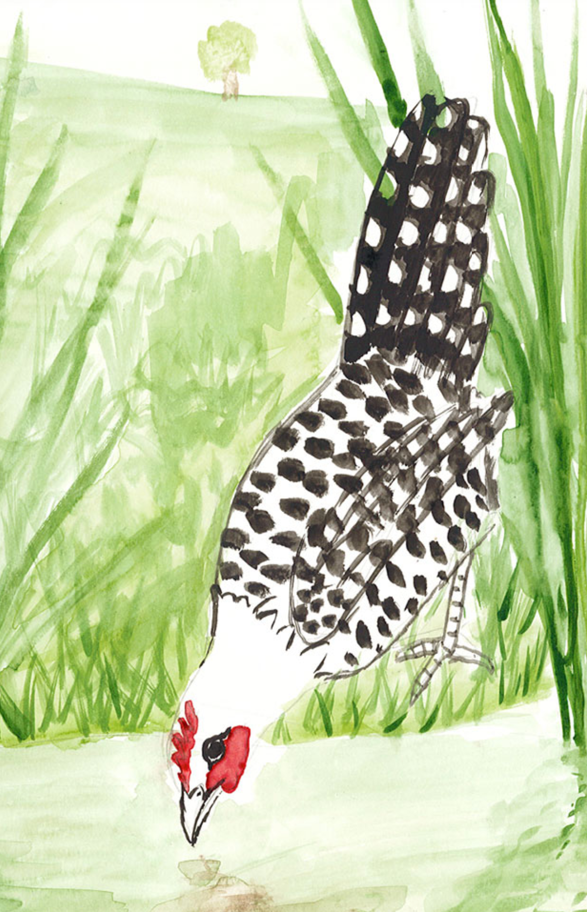 Akvarellmaling - 12 farger