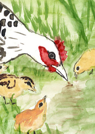 Akvarellmaling - 12 farger