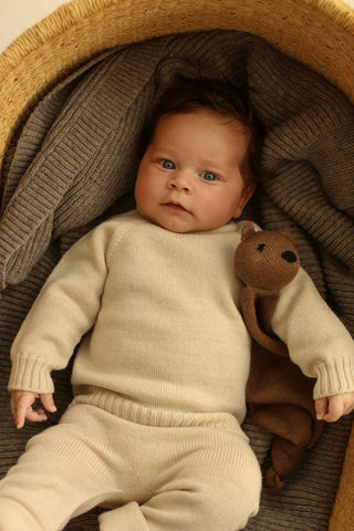 Tokki teddy