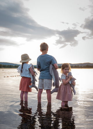 Hai med varme/kjølepute - liten