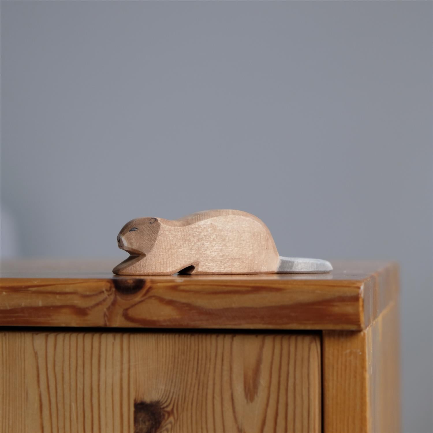 Beaver lying - trefigur