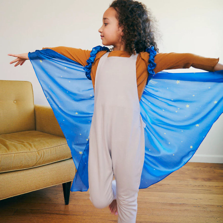 Silkevinger - stjernenatt