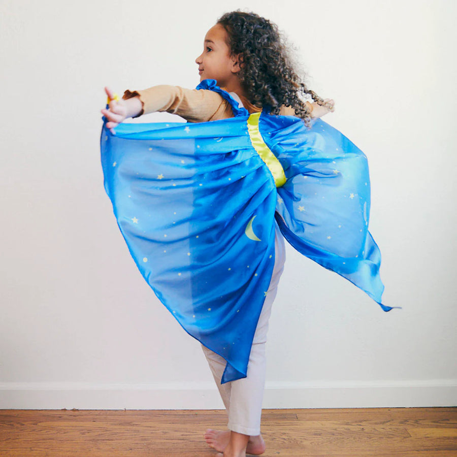 Silkevinger - stjernenatt