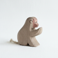 Baboon sitting – studiobakgrunn