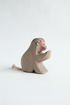 Baboon sitting – studiobakgrunn