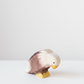 Bald eagle sitting