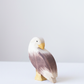 Bald eagle standing – studiobakgrunn