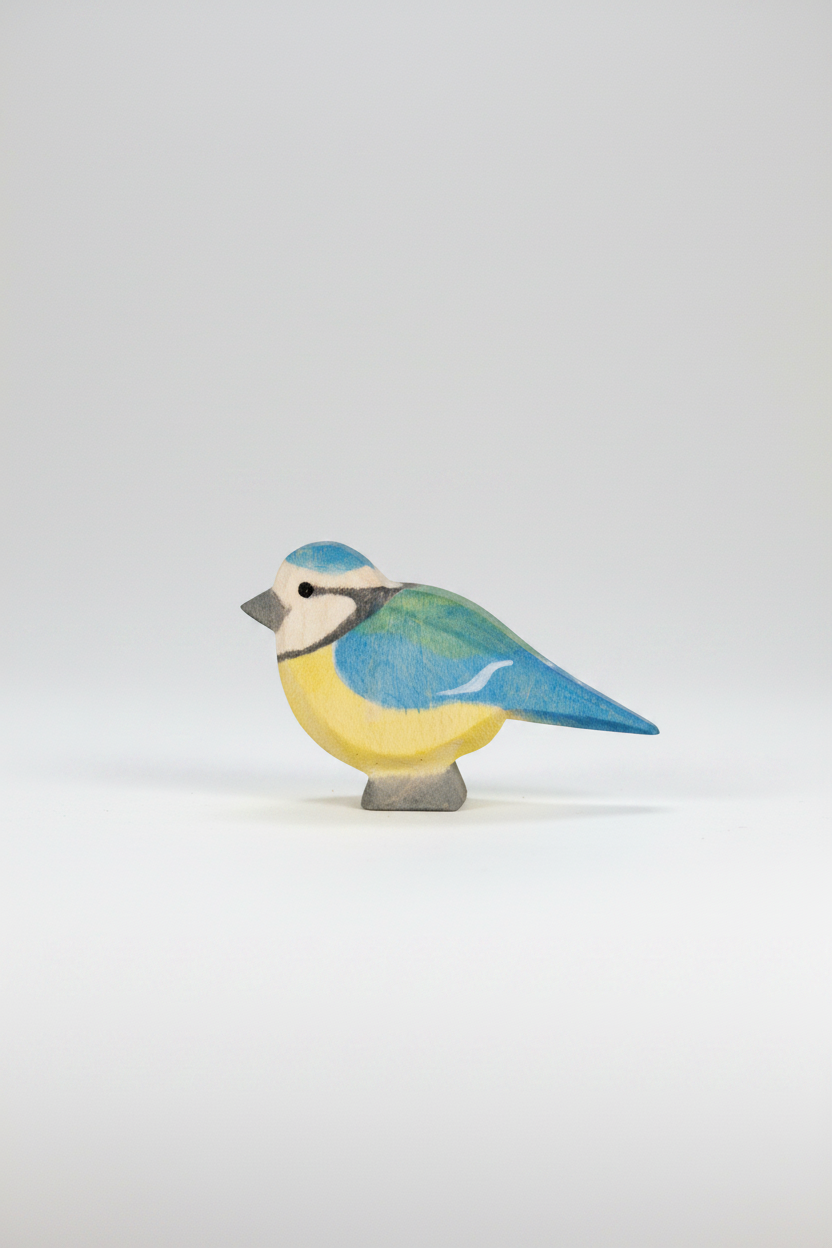 Blue tit – kjølig grå-hvit studiobakgrunn