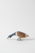 Canada goose long neck – studiobakgrunn