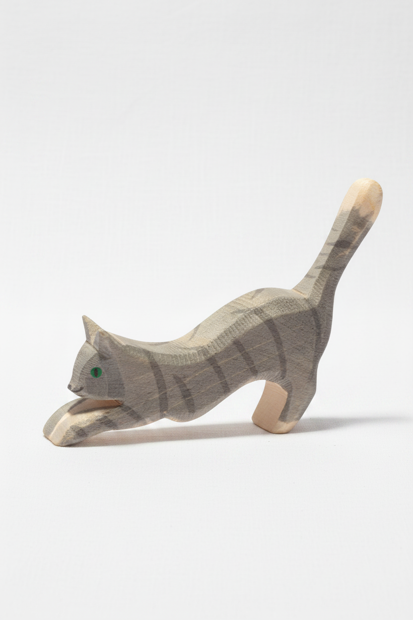 Cat jumping – studiobakgrunn