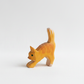 Cat small head low