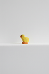 Chick light – studiobakgrunn
