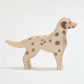 Dalmatian – studiobakgrunn